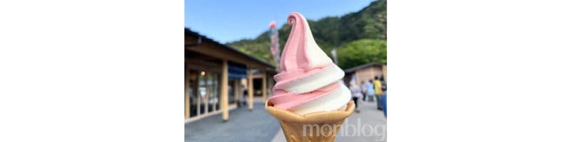 岐阜の新スポット岐阜城楽市 関牛乳と濃姫いちごのミックスソフトクリーム(筆者撮影)