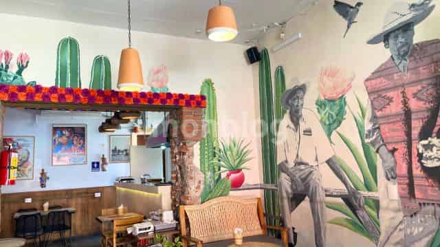 Todos Santos Coffee Barの可愛いおしゃれな店内の様子(筆者撮影)